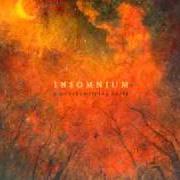 Der musikalische text AT THE GATES OF SLEEP von INSOMNIUM ist auch in dem Album vorhanden Above the weeping world (2006)