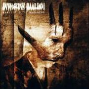 Der musikalische text MEMORY von INTESTINE BAALISM ist auch in dem Album vorhanden Banquet in the darkness (2003)