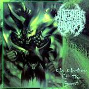 Der musikalische text ENERGUMENUS (THE BIRTH OF THE CURSED CREATIONS) von INTESTINE BAALISM ist auch in dem Album vorhanden An anatomy of the beast (1997)