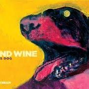 Der musikalische text HOUSE BY THE SEA von IRON & WINE ist auch in dem Album vorhanden The shepherd's dog (2007)