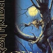 Der musikalische text WASTING LOVE von IRON MAIDEN ist auch in dem Album vorhanden Fear of the dark (1992)