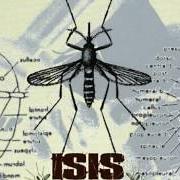 Der musikalische text RELOCATION SWARM von ISIS ist auch in dem Album vorhanden Mosquito control (1998)
