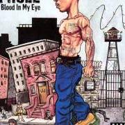 Der musikalische text BLOOD IN MY EYE von JA RULE ist auch in dem Album vorhanden Blood in my eye (2003)