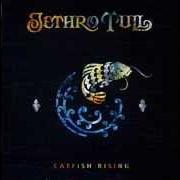 Der musikalische text DOCTOR TO MY DISEASE von JETHRO TULL ist auch in dem Album vorhanden Catfish rising (1991)