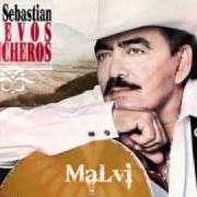 Der musikalische text GOLONDRINAS VIAJERAS von JOAN SEBASTIAN ist auch in dem Album vorhanden Huevos rancheros (2011)