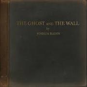 Der musikalische text FEWER GHOSTS von JOSHUA RADIN ist auch in dem Album vorhanden The ghost and the wall (2021)