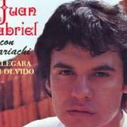 Der musikalische text VIDITA MIA von JUAN GABRIEL ist auch in dem Album vorhanden Te llegara mi olvido (1977)