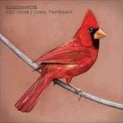 Der musikalische text BORN AND RAISED von ALEXISONFIRE ist auch in dem Album vorhanden Old crows / young cardinals (2009)