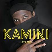 Der musikalische text JE M'EN BATS LES COUILLES von KAMINI ist auch in dem Album vorhanden 3ème acte (2020)