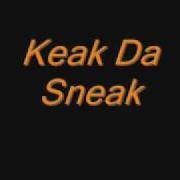 Der musikalische text WHAT DOES IT ALL MEAN von KEAK DA SNEAK ist auch in dem Album vorhanden That's my word (2005)