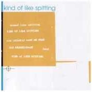 Der musikalische text DO YOU NEED HIM HERE TO SAY (ELSA) von KIND OF LIKE SPITTING ist auch in dem Album vorhanden You secretly want me dead (2000)