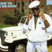 Der musikalische text I'M A PLAYER von KOOL MOE DEE ist auch in dem Album vorhanden How ya like me now (1987)