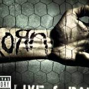 Der musikalische text RIGHT NOW von KORN ist auch in dem Album vorhanden Live & rare (2006)