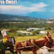 Der musikalische text CHUNGO PETACA von LA EXCEPCIÓN ist auch in dem Album vorhanden Cata cheli (2003)