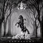 Der musikalische text DIE SEHNSUCHT IN MIR von LACRIMOSA ist auch in dem Album vorhanden Sehnsucht (2009)