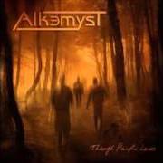 Der musikalische text WHEN THE MORNING COMES von ALKEMYST ist auch in dem Album vorhanden Through painful lanes (2008)