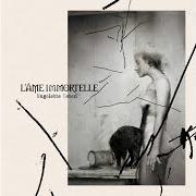 Der musikalische text NIE GENUG von L'AME IMMORTELLE ist auch in dem Album vorhanden Ungelebte leben (2024)