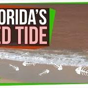 Red Tide