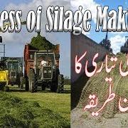 Silage