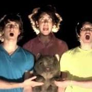 The Wombats