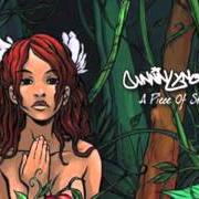 Cunninlynguists