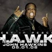 Big Hawk