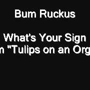 Bum Ruckus