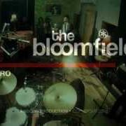 The Bloomfields