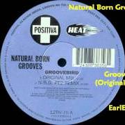 Natural Born Groove