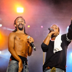 Madcon