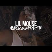 Lil Mouse