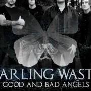 Darling Waste