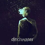 Ditchwater