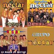 Grupo Nectar