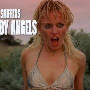 Amyl And The Sniffers