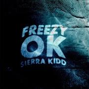 Freezy Tfs