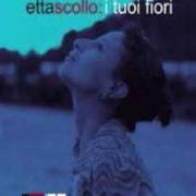 Etta Scollo