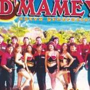 Grupo Mamey