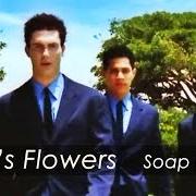 Kara'S Flowers